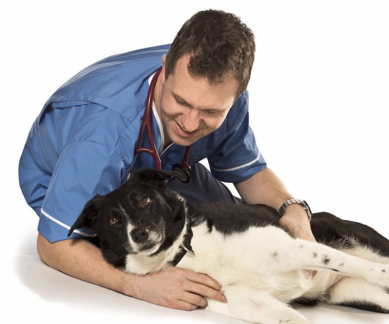 Specialist services in Belper